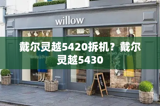 戴尔灵越5420拆机？戴尔灵越5430-第1张图片-星选测评