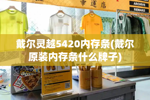 戴尔灵越5420内存条(戴尔原装内存条什么牌子)-第1张图片-星选测评