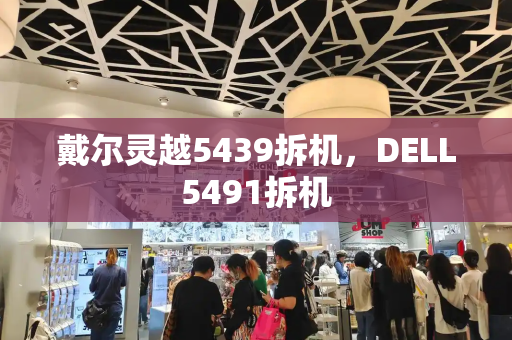 戴尔灵越5439拆机，DELL5491拆机-第1张图片-星选测评