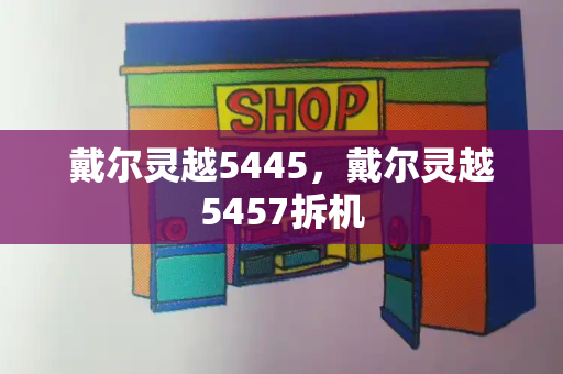 戴尔灵越5445，戴尔灵越5457拆机-第1张图片-星选测评