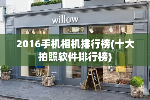 2016手机相机排行榜(十大拍照软件排行榜)-第1张图片-星选测评