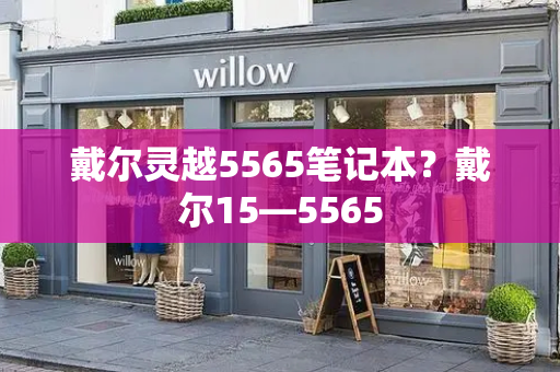 戴尔灵越5565笔记本？戴尔15—5565-第1张图片-星选测评