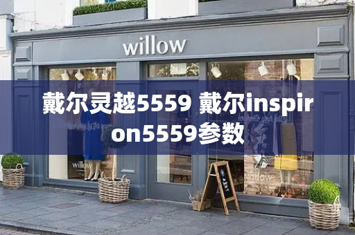戴尔灵越5559 戴尔inspiron5559参数-第1张图片-星选测评