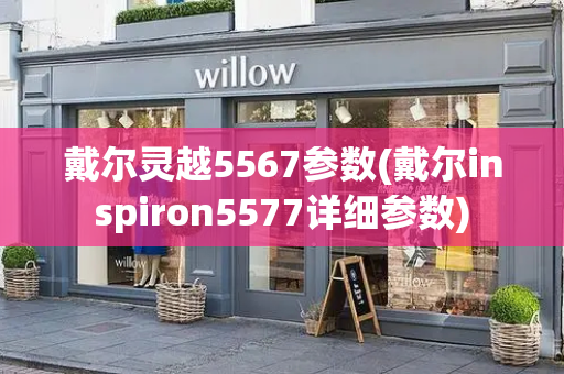戴尔灵越5567参数(戴尔inspiron5577详细参数)
