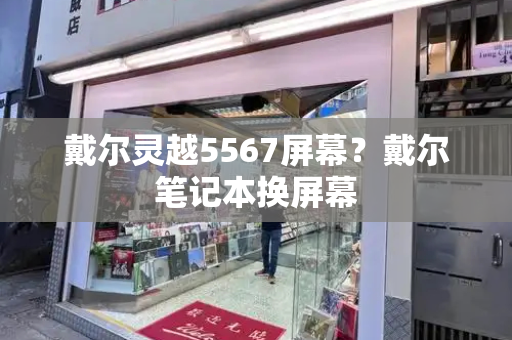 戴尔灵越5567屏幕？戴尔笔记本换屏幕-第1张图片-星选测评
