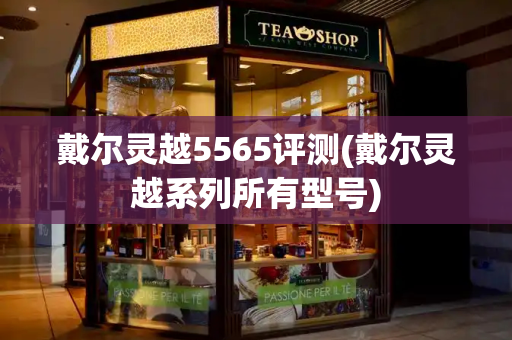 戴尔灵越5565评测(戴尔灵越系列所有型号)