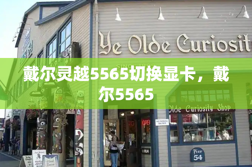 戴尔灵越5565切换显卡，戴尔5565-第1张图片-星选测评