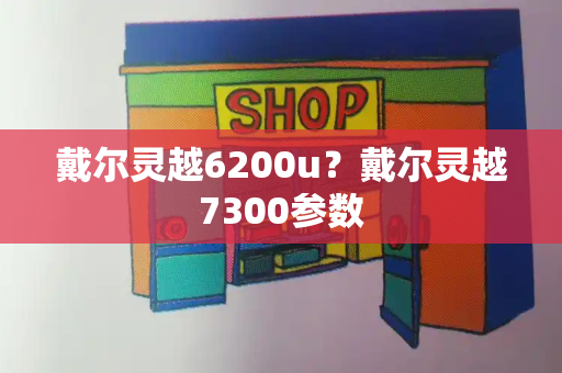 戴尔灵越6200u？戴尔灵越7300参数