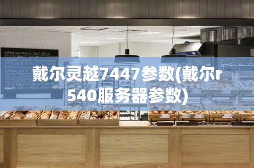 戴尔灵越7447参数(戴尔r540服务器参数)