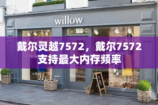 戴尔灵越7572，戴尔7572支持最大内存频率-第1张图片-星选测评