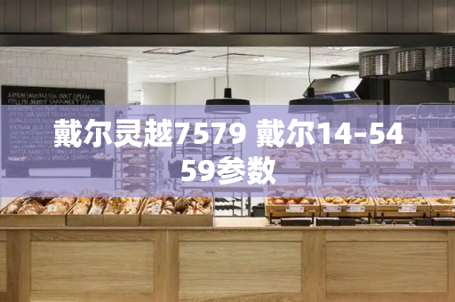 戴尔灵越7579 戴尔14–5459参数