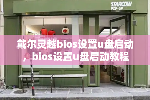 戴尔灵越bios设置u盘启动，bios设置u盘启动教程