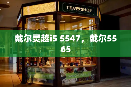 戴尔灵越i5 5547，戴尔5565