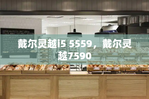 戴尔灵越i5 5559，戴尔灵越7590