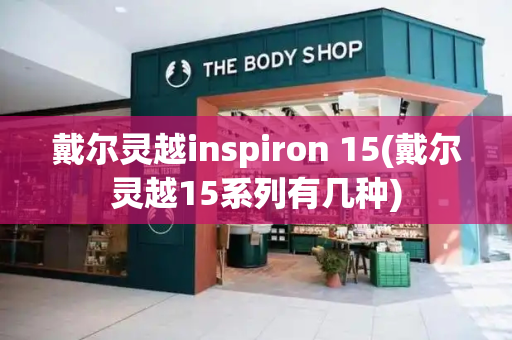 戴尔灵越inspiron 15(戴尔灵越15系列有几种)
