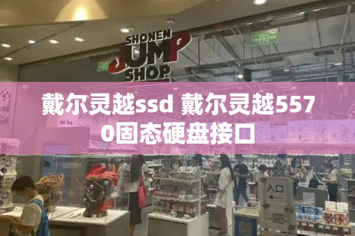 戴尔灵越ssd 戴尔灵越5570固态硬盘接口
