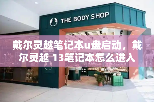 戴尔灵越笔记本u盘启动，戴尔灵越 13笔记本怎么进入bios设置u盘启动-第1张图片-星选测评