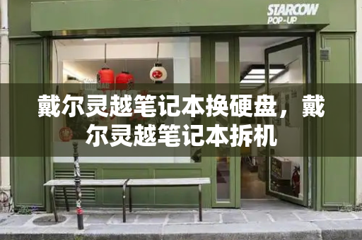 戴尔灵越笔记本换硬盘，戴尔灵越笔记本拆机-第1张图片-星选测评