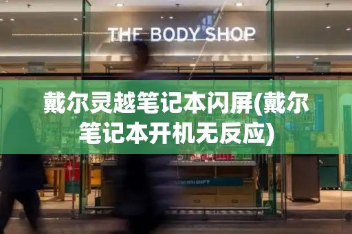 戴尔灵越笔记本闪屏(戴尔笔记本开机无反应)-第1张图片-星选测评