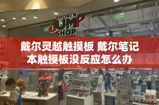 戴尔灵越触摸板 戴尔笔记本触摸板没反应怎么办