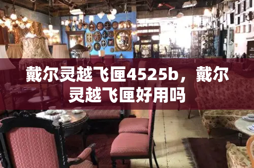 戴尔灵越飞匣4525b，戴尔灵越飞匣好用吗-第1张图片-星选测评
