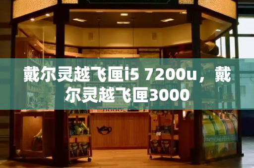 戴尔灵越飞匣i5 7200u，戴尔灵越飞匣3000-第1张图片-星选测评