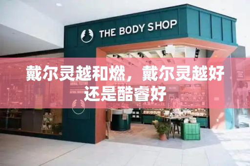戴尔灵越和燃，戴尔灵越好还是酷睿好