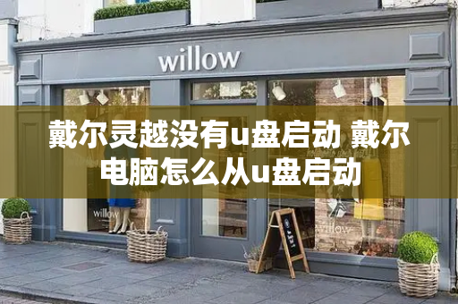 戴尔灵越没有u盘启动 戴尔电脑怎么从u盘启动