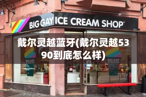 戴尔灵越蓝牙(戴尔灵越5390到底怎么样)-第1张图片-星选测评