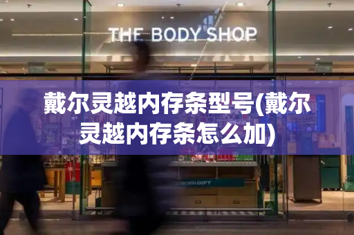 戴尔灵越内存条型号(戴尔灵越内存条怎么加)-第1张图片-星选测评