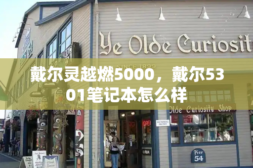 戴尔灵越燃5000，戴尔5301笔记本怎么样-第1张图片-星选测评