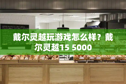 戴尔灵越玩游戏怎么样？戴尔灵越15 5000-第1张图片-星选测评