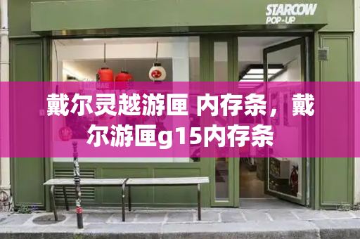 戴尔灵越游匣 内存条，戴尔游匣g15内存条-第1张图片-星选测评