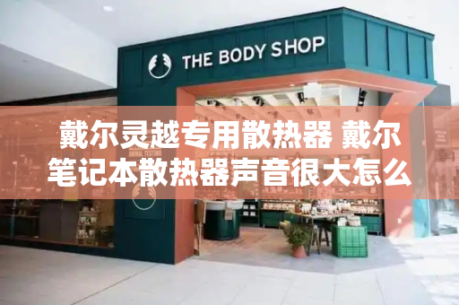 戴尔灵越专用散热器 戴尔笔记本散热器声音很大怎么办