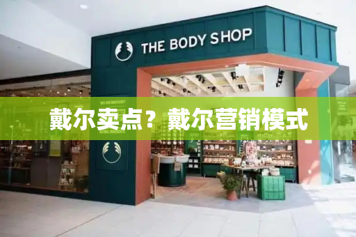 戴尔卖点？戴尔营销模式-第1张图片-星选测评