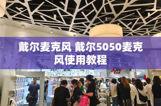 戴尔麦克风 戴尔5050麦克风使用教程-第1张图片-星选测评