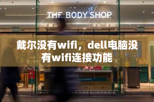 戴尔没有wifi，dell电脑没有wifi连接功能-第1张图片-星选测评