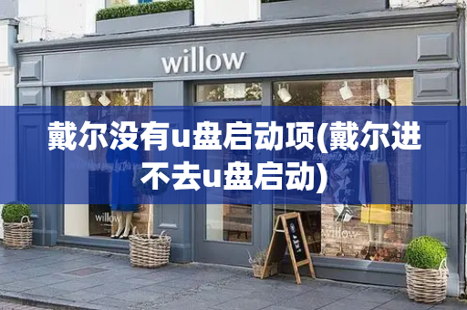 戴尔没有u盘启动项(戴尔进不去u盘启动)