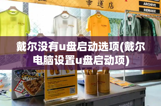 戴尔没有u盘启动选项(戴尔电脑设置u盘启动项)