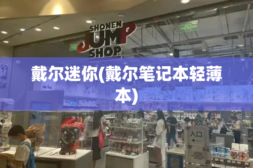 戴尔迷你(戴尔笔记本轻薄本)