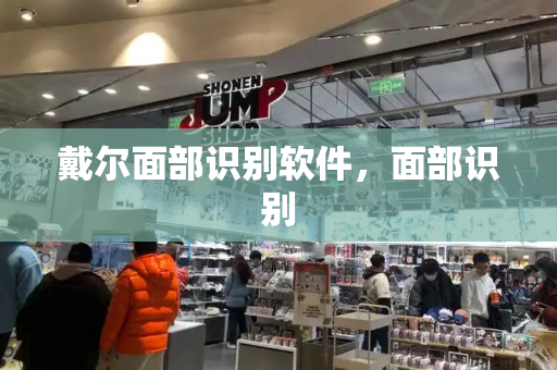 戴尔面部识别软件，面部识别-第1张图片-星选测评