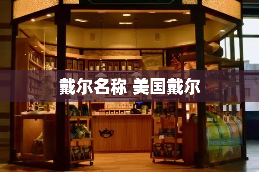 戴尔名称 美国戴尔
