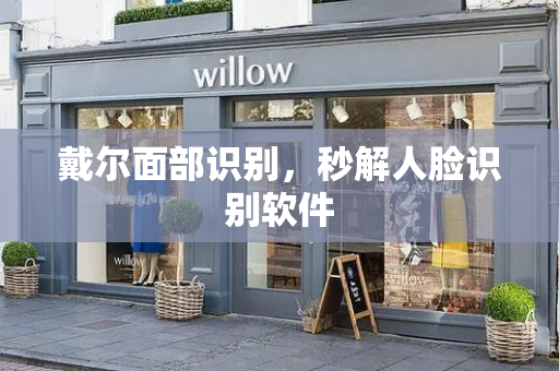 戴尔面部识别，秒解人脸识别软件