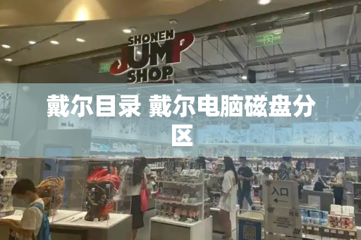 戴尔目录 戴尔电脑磁盘分区-第1张图片-星选测评