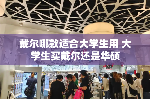 戴尔哪款适合大学生用 大学生买戴尔还是华硕-第1张图片-星选测评