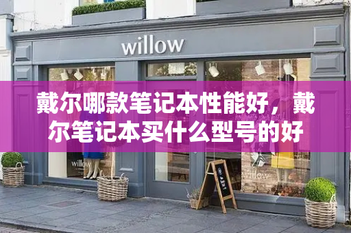 戴尔哪款笔记本性能好，戴尔笔记本买什么型号的好-第1张图片-星选测评