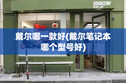 戴尔哪一款好(戴尔笔记本哪个型号好)-第1张图片-星选测评