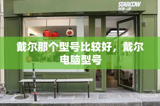 戴尔那个型号比较好，戴尔电脑型号-第1张图片-星选测评