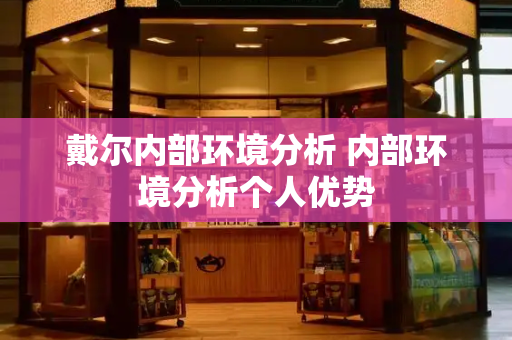 戴尔内部环境分析 内部环境分析个人优势-第1张图片-星选测评