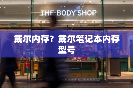 戴尔内存？戴尔笔记本内存型号-第1张图片-星选测评